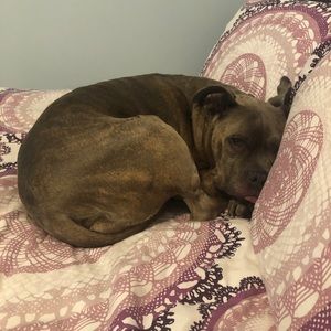 Meet your Posher, Joshua